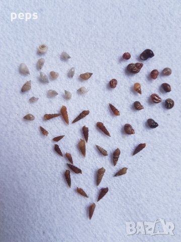 Надпис върху зърно ориз, снимка 10 - Други - 24884571