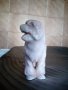 порцеланова статуетка-куче, снимка 2