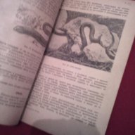 Зоология за 6 и 7 клас - 1954 г. , снимка 2 - Специализирана литература - 16952330