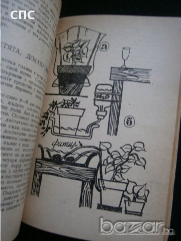 книга за добрата домакиня, снимка 4 - Художествена литература - 17924419