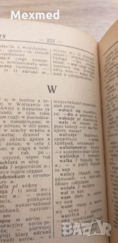 Речник, снимка 7 - Чуждоезиково обучение, речници - 26095934