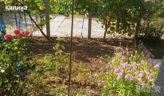 Къща в с. Бабук, снимка 5 - Къщи - 25683213