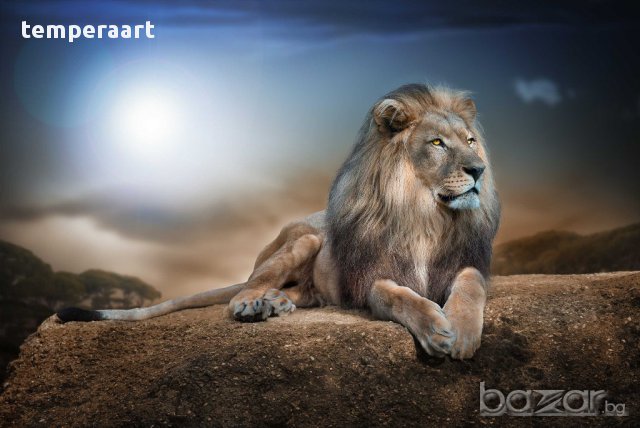 Картина лъв, картинно пано, картина животни, канава, декоративно пано от части № 094, снимка 4 - Картини - 17322611