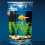 Самопочистващ се аквариум My FUN Fish, снимка 3
