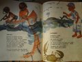 Детска книжка "Сме ли смели?" (детски стихчета, голям формат), автор Кирил Кадийски, роман, книга, снимка 3