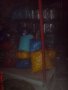  Казан алпака, съд от неръждавейка(супра)Нови Пвц (пластмасови) шишета 6литра, снимка 5