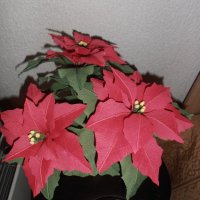 Коледна звезда, снимка 3 - Изкуствени цветя - 23726685