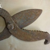 Старинни вет.медицински ножици за скопяване на животни, снимка 3 - Антикварни и старинни предмети - 11872098