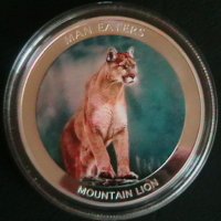 100 шилинга 2010(Mountain lion), Уганда, снимка 1 - Нумизматика и бонистика - 25917893