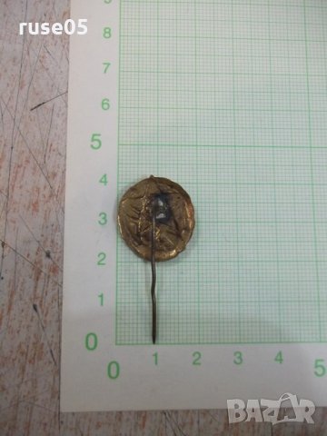 Значка "ДОСО", снимка 2 - Други ценни предмети - 21652253