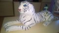 ОГРОМЕН тигър-бенгалски-внос швеицария, снимка 3