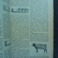 Земеделска енциклопедия том 1, снимка 3 - Други - 22210932