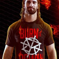  WWE! Мъжки и Детски кеч тениски SETH ROLLINS BURN IT DOWN! Поръчай модел с твоя снимка! , снимка 1 - Детски тениски и потници - 19003339