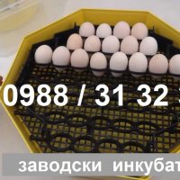Заводски румънски инкубатор КЛЕО 5 за пилета. Инкубатори за яйца с дисплей ., снимка 4 - Други стоки за животни - 23646506