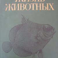 1983 год. Книга за животните и рибите Русия, снимка 2 - Други - 24608150