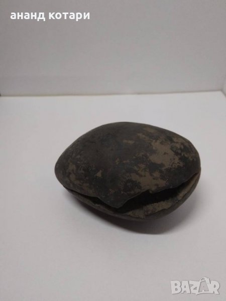 Шалиграм, снимка 1