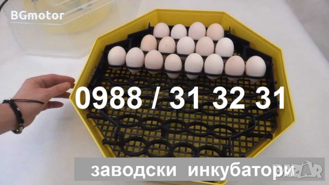 Заводски румънски инкубатор КЛЕО 5 за пилета. Инкубатори за яйца с дисплей ., снимка 4 - Други стоки за животни - 23646506