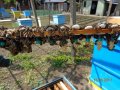 Пчеларска платформа за пчелни кошери., снимка 13