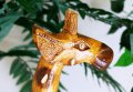  Дървени жирафи, дървен жираф, дървена фигура на жираф-100 см,африканска статуя , снимка 8