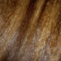 Палто, естествен косъм , снимка 2 - Палта, манта - 24710558