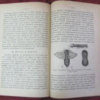 1891г. Учебник Имперска Русия, снимка 15 - Учебници, учебни тетрадки - 26198507