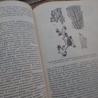 справочник за коралите на руски език , снимка 3 - Енциклопедии, справочници - 24515647