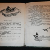 Меча полянка 1954, снимка 7 - Детски книжки - 22743401
