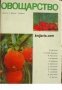 Овощарство в два тома том 2 , снимка 1 - Други - 20910174