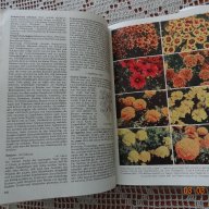 Голяма енциклопедия за растенията от А до Я, снимка 2 - Енциклопедии, справочници - 14108662