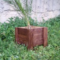 Дървени саксии (кашпи) за растения, снимка 5 - Саксии и кашпи - 21636607