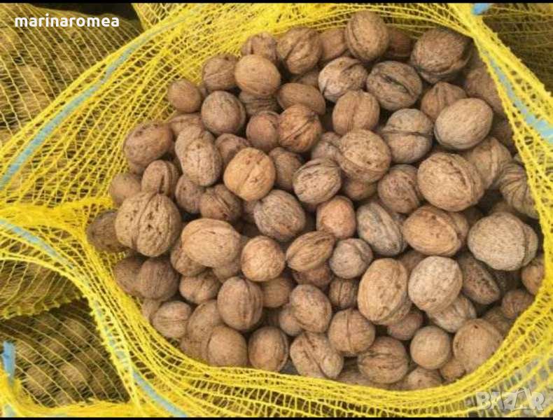 Мрежести чувалчета(гаци)за пакетиране на плодове и зеленчуци, снимка 1