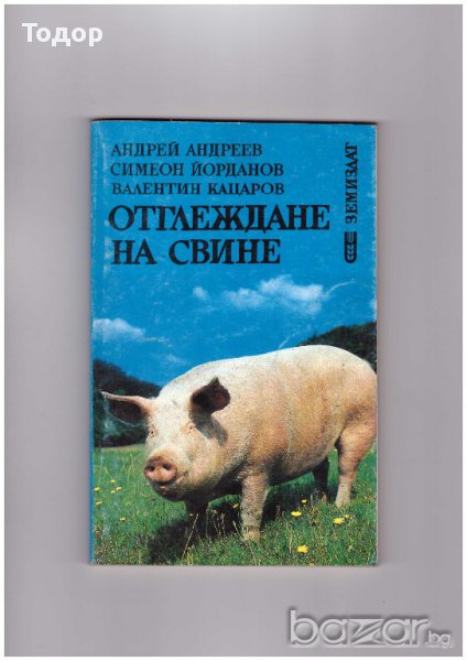 Отглеждане на свине Андрей Андреев, снимка 1