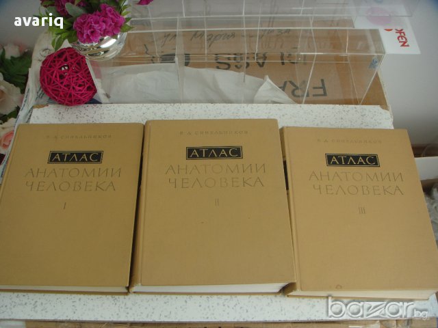 Атласи по анатомия на човека Синелников, снимка 8 - Енциклопедии, справочници - 16689471