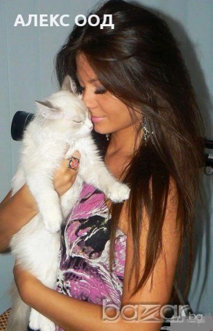 лешник исветъл кестен 34, снимка 9 - Аксесоари за коса - 8378265