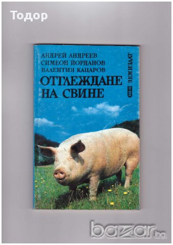 Отглеждане на свине Андрей Андреев