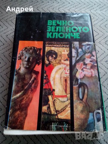 Книга Вечно Зеленото Клонче, снимка 5 - Антикварни и старинни предмети - 24035226