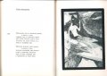 ЯВОРОВ "ПОДИР СЕНКИТЕ НА ОБЛАЦИТЕ", М.Кремен "Романът на Яворов" , снимка 4
