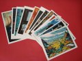 Колекция от 12 Стари Фотокопия на Картини от Кубински Художници, снимка 1 - Други ценни предмети - 21976943
