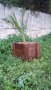 Дървени саксии (кашпи) за растения, снимка 5