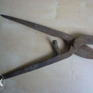 Старинни вет.медицински ножици за скопяване на животни, снимка 8 - Антикварни и старинни предмети - 11872098