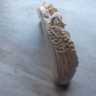 Слонова кост, снимка 7 - Антикварни и старинни предмети - 6902099