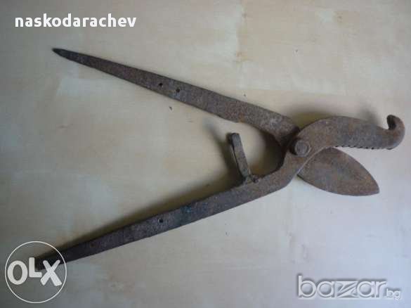 Старинни вет.медицински ножици за скопяване на животни, снимка 8 - Антикварни и старинни предмети - 11872098