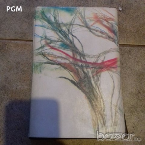 Ивайло Петров Хайка за вълци, снимка 2 - Художествена литература - 21312928