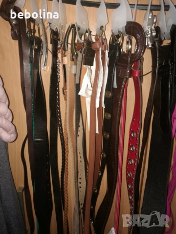 КОЛАНИ, снимка 3 - Колани - 23443042