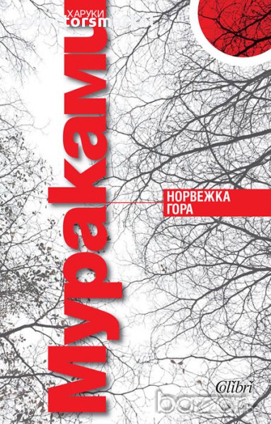 Норвежка гора, снимка 1