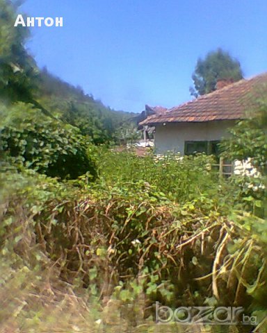 къща с двор в с Стакевци община Видин, снимка 9 - Къщи - 13418561