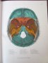 1971г. Медицинска Книга Анатомичен Атлас Том1-ви, снимка 8