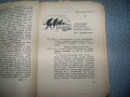 "Незабравки" политически пиески за народния съд 1945г., снимка 7