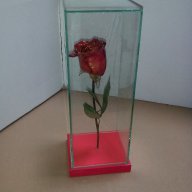 Роза за за свети валентин или 8 март, снимка 4 - Декорация за дома - 13751762