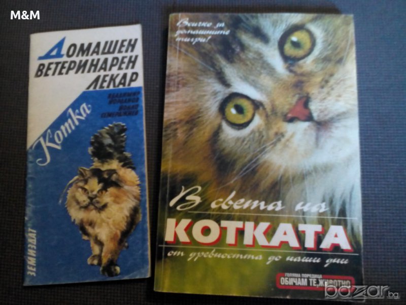 В света на котката, снимка 1